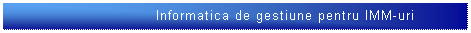 Text Box: &nbsp;Informatica de gestiune pentru IMM-uri
