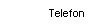 Text Box: Telefon
