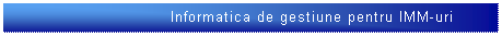 Text Box: &nbsp;Informatica de gestiune pentru IMM-uri
