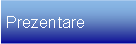 Text Box: Prezentare