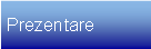 Text Box: Prezentare